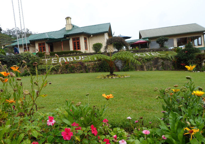 Tea Bush Hotel Nuwara Eliya Exteriér fotografie